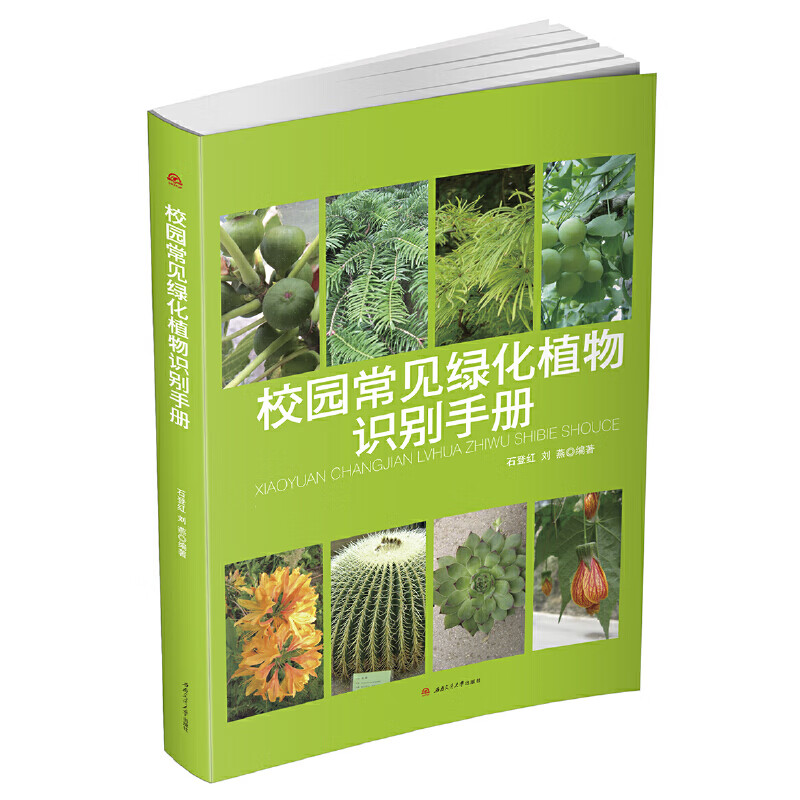 校园常见绿化植物识别
