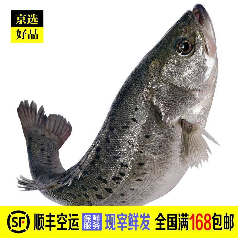 禾人生鲜鱼类 水库鱼 淡水鱼 新鲜 新鲜鲈鱼 重1-2斤1条【现宰】