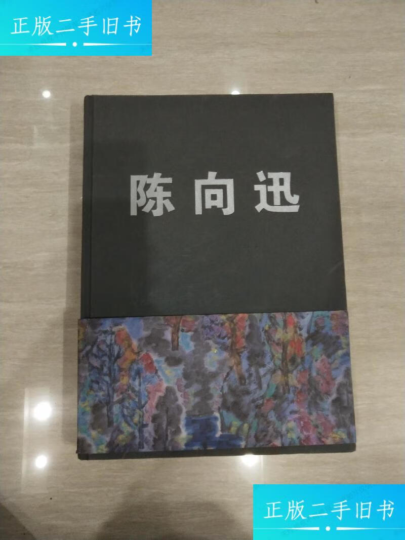 【二手9成新】陈向迅 精 /陈向迅 中国美术学院出版社