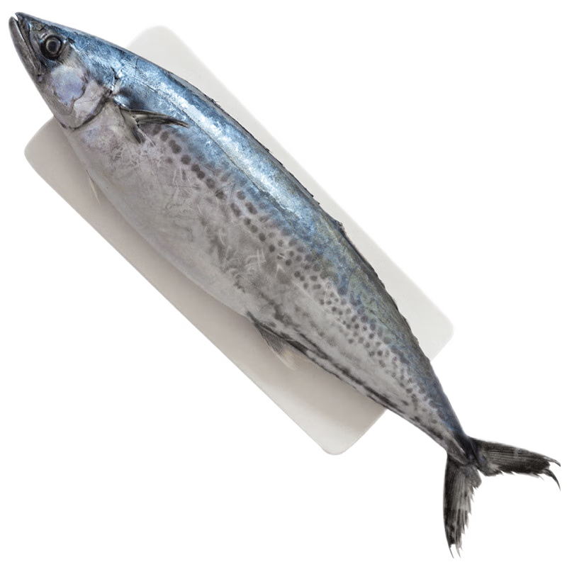 海升东青岛大鲅鱼整条 2斤-20斤 深海马鲛鱼 新鲜冷冻燕鲅鱼 生鲜 鱼类 6斤左右整条