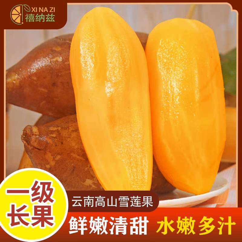 �ڸ���������ɽѩ���������ؼ������������Ӧ��ˮ����ɳ�����ѩ���� 5�ﾫѡװ