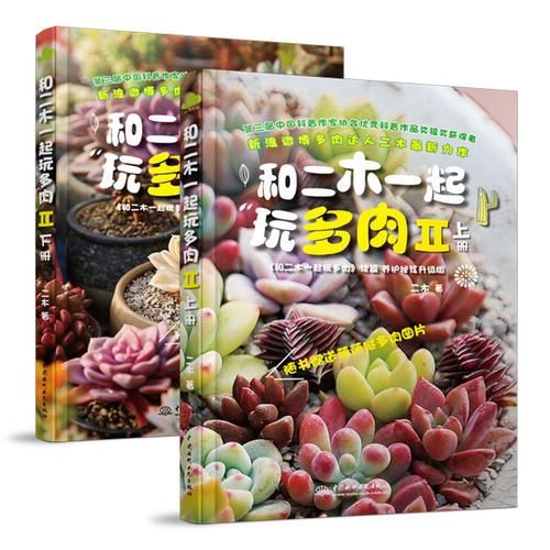 和二木一起玩多肉2下