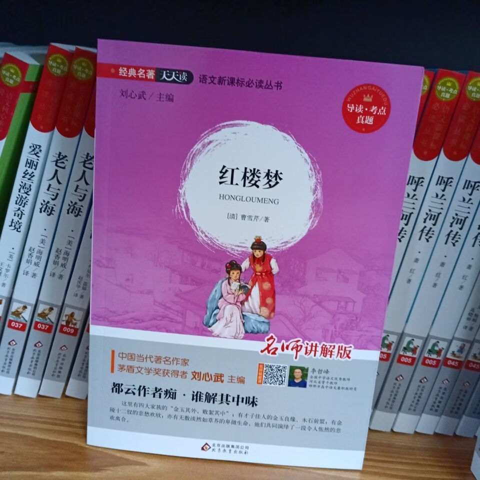 西游记三国演义红楼梦水浒传知识点一本全名师讲解版 红楼梦