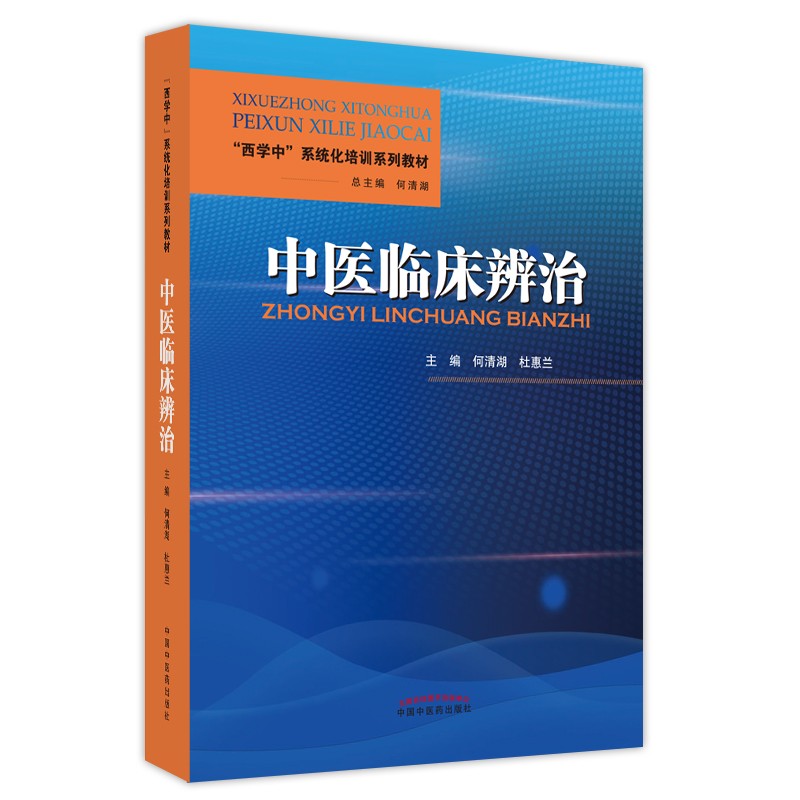 中医临床辨治 何清湖 杜惠兰 著（西学中系统化培训系列教材） 中国中医药出版社 