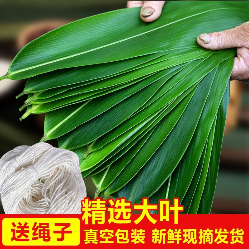 新鲜粽叶 农家粽叶 手工粽子DIY材料 真空袋包装带绳子 50片