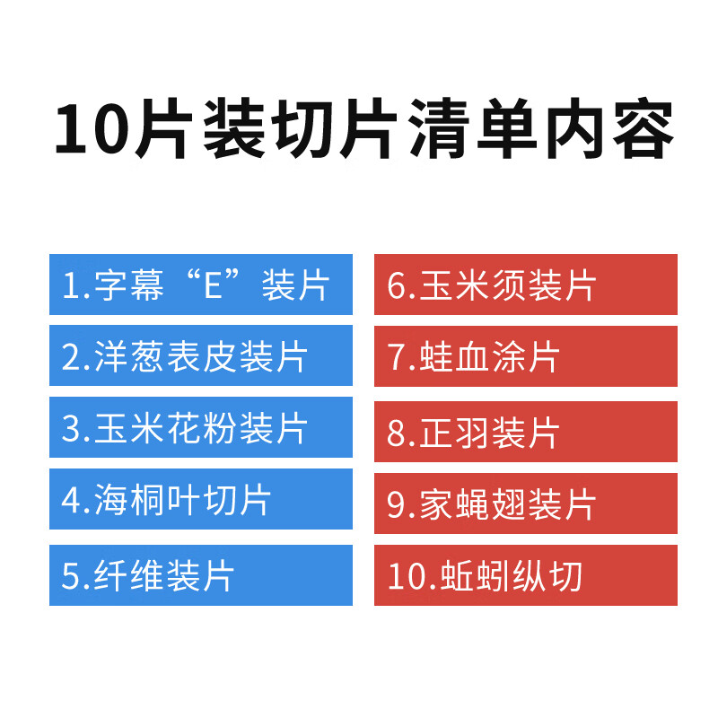 铁牛（Tieniu）生物显微镜切片标本套装载玻片盖玻片动植物组织细菌 10片装生物切片标本