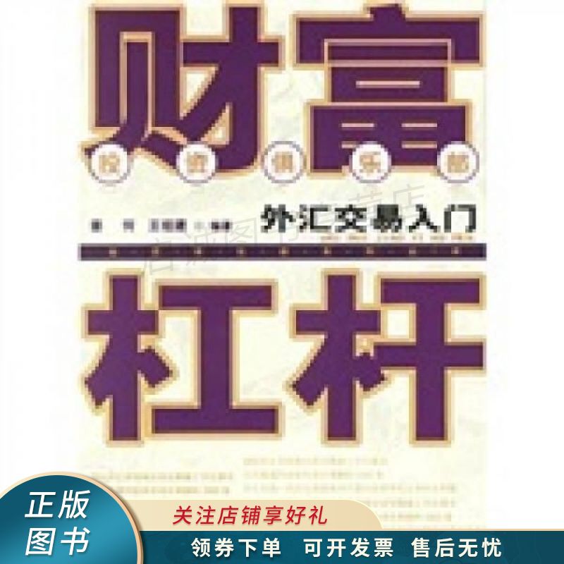 财富杠杆：外汇交易入门