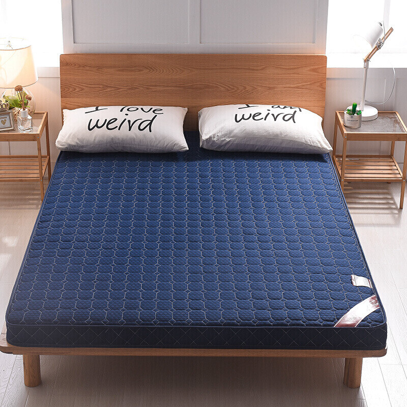 港桦   床垫单人学生宿舍家用双人床垫软硬两用薄榻榻米 蓝色10cm加厚