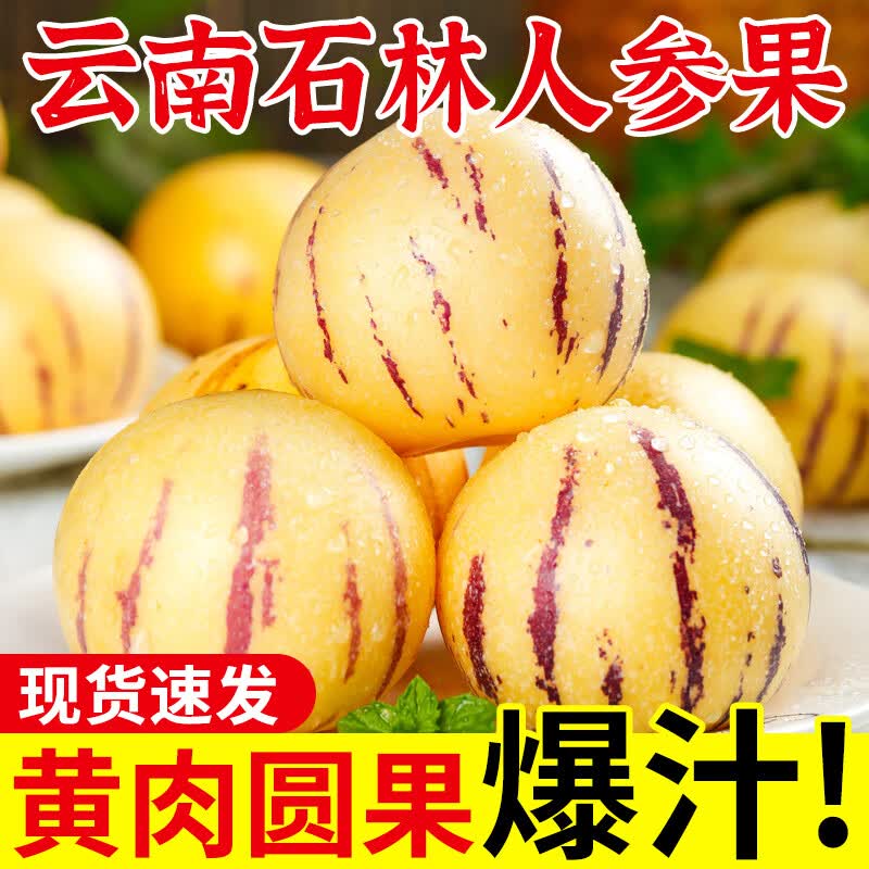 【树上熟】云南石林人参果熟果圆果黄心黄肉当季应季新鲜水果整箱 3斤大果【80-110g/个】