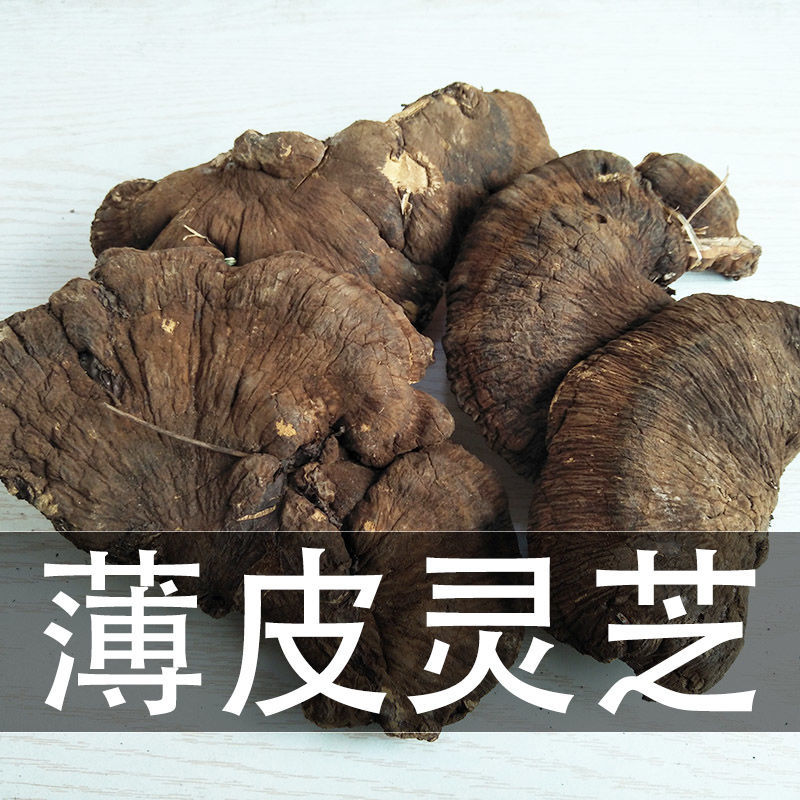 灵芝野外薄皮灵芝深山生长稀针孔菌薄皮毛背菌薄皮纤孔菌干品 野生
