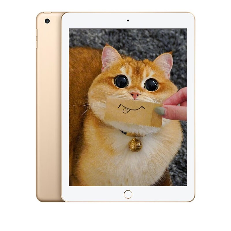 苹果ipad 2017/2018/2019/2020款 二手平板电脑 ipad air2 插卡版