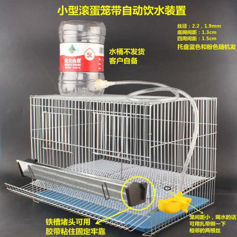 滚蛋鹌鹑笼家庭养殖小鸡蛋鸽鹧鸪鹦鹉鸟类 小型滚蛋笼带自动饮水装置