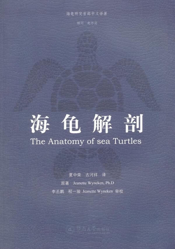 海龟解剖农业/林业海龟动物解剖学 图书
