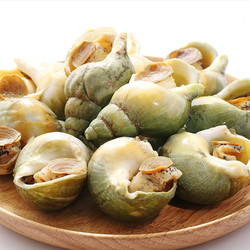 魃鲜 翡翠螺生鲜刺身料理熟冻翡翠 螺海鲜贝类解冻即食 500克/袋