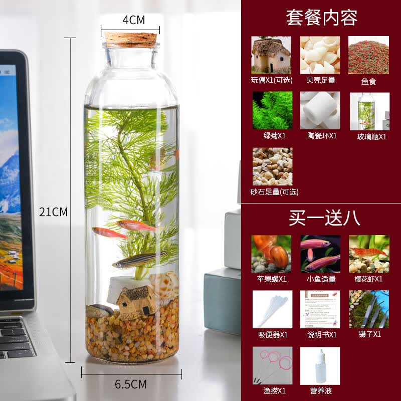 SHXI微景观生态瓶生态瓶观赏小鱼diy微景观免换水造景材料活动礼物水 大号圆柱黄金砂款使用感如何?
