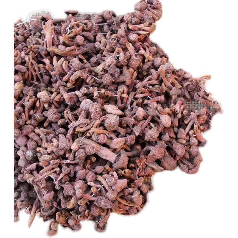 东北特产红蘑500g大兴安岭山货红松伞蘑菇钉血红铆钉菇红松蘑 500g