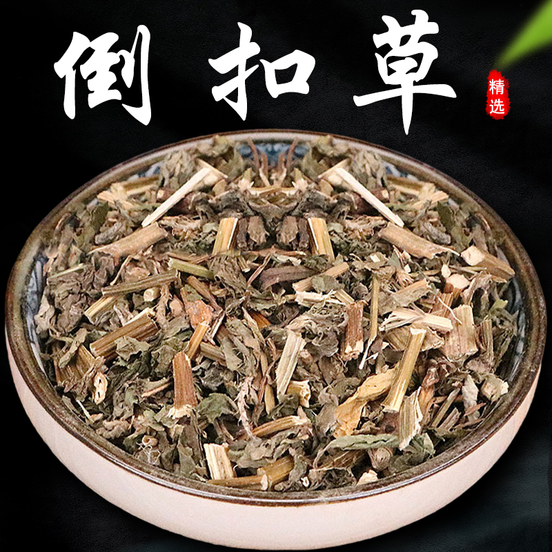 北京同仁堂正宗倒扣草500g精选中药材批发牛舌大黄土牛膝鸡骨草牛七风