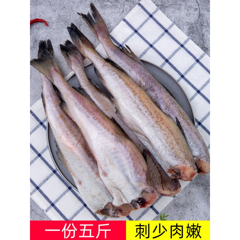 十里馋明太鱼  新鲜冷冻海鱼无头鱼烧烤棒棒鱼商用雪鱼深海鳕鱼整条5