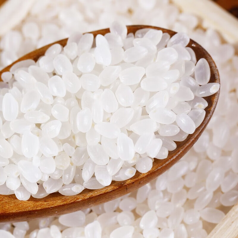 查米价格App哪个比较好|米价格历史