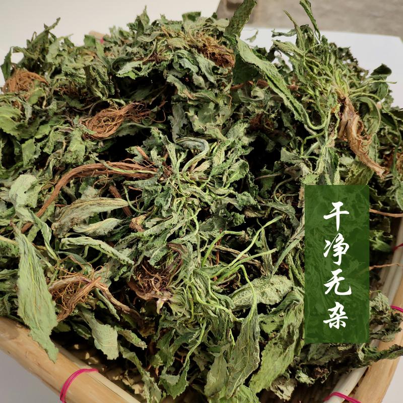 哺食旺品质精选癞蛤蟆草500g新鲜干的泡水整颗赖蛤蟆草荔枝草 500g