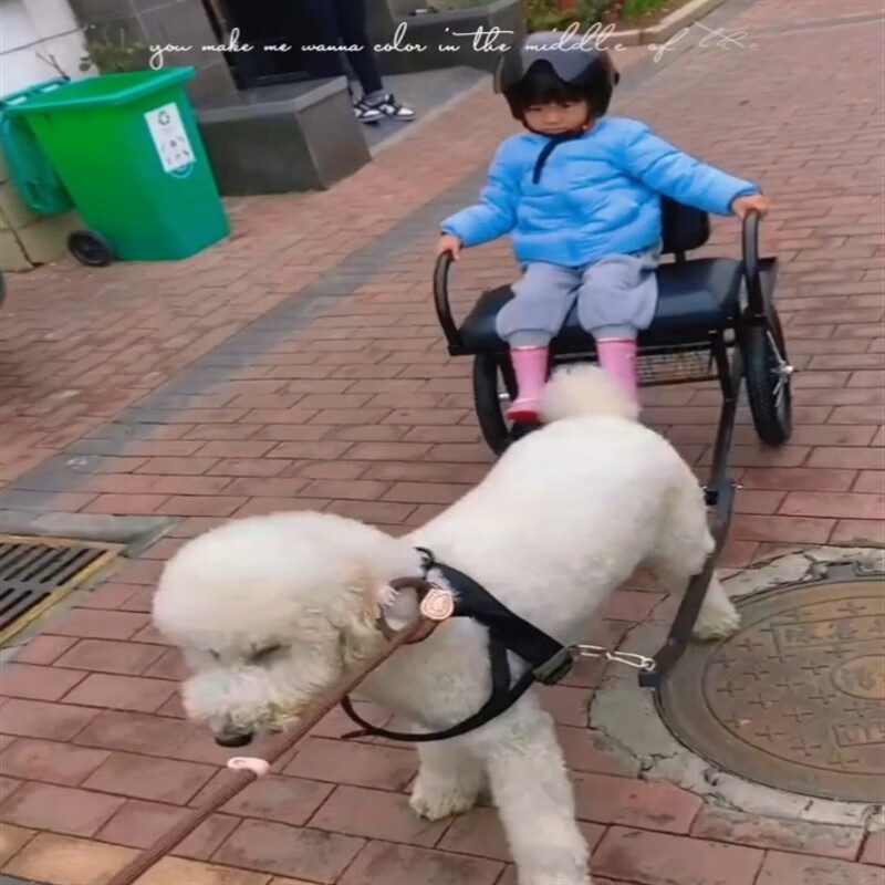 澳颜莱狗拉车专用车 轻型折叠人坐遛狗车买菜遛车狗拉车仔仔二哈仔哈