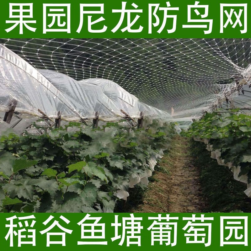 冀名格防鸟网尼龙网大棚果树樱桃葡萄梨树果园防鸟用网养殖网鱼塘天网