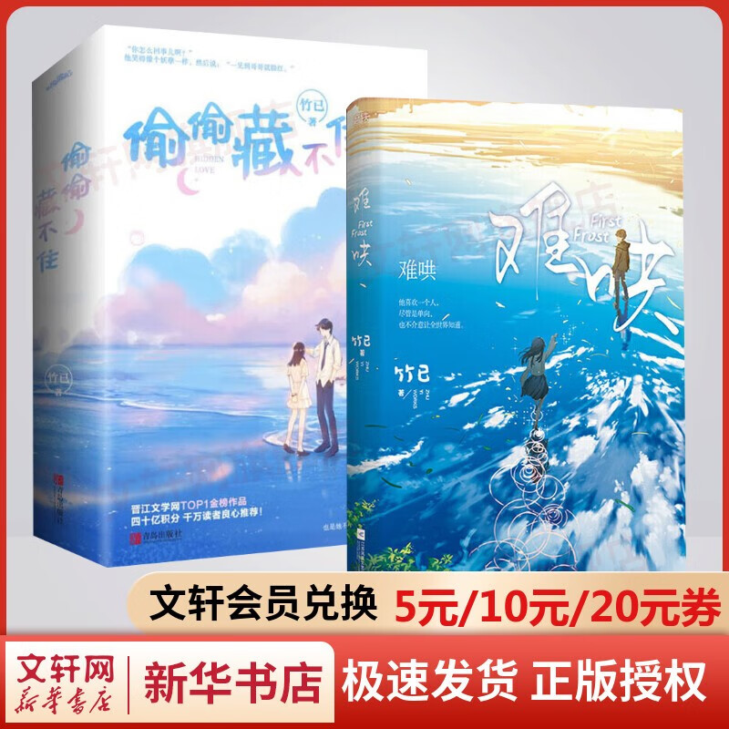 竹已小说实体书 偷偷藏不住+难哄