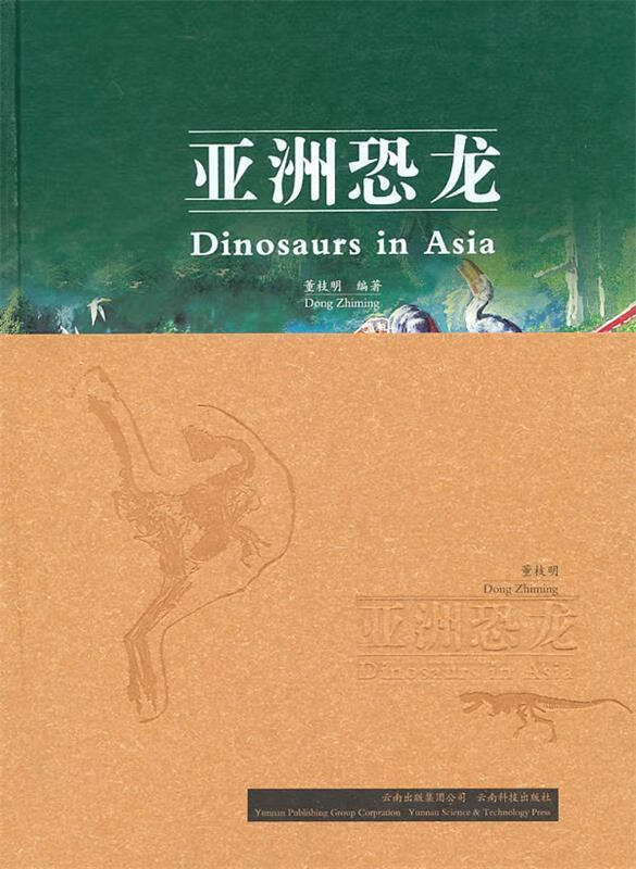 亚洲恐龙
