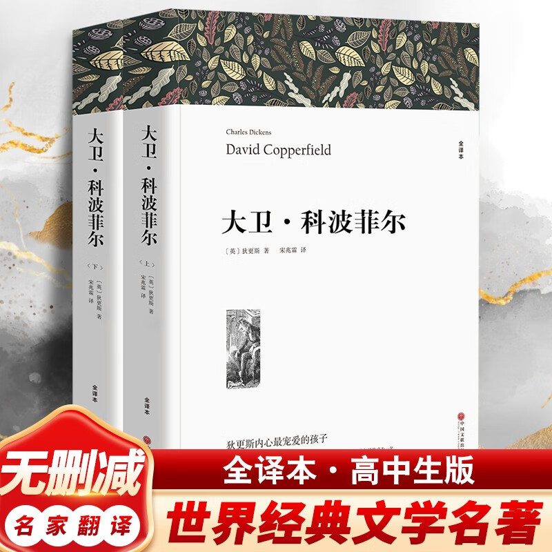 大卫科波菲尔 上下册【中文无删减共107