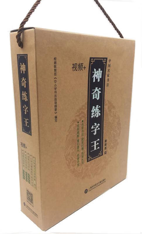 中国名家书法-神奇练字王 谢昭然 上海科学技术文献出版社