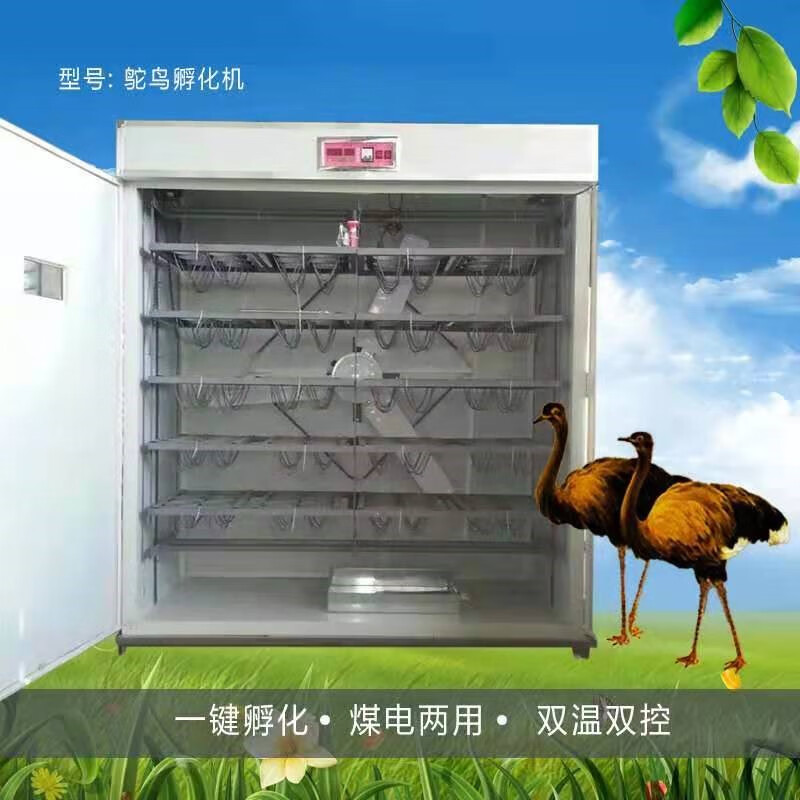 孵化机全自动鸵鸟蛋孵化器鸸鹋孵化箱澳洲鸵鸟孵化设备智能孵蛋器 6枚