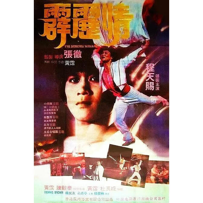映棠张彻武打功夫电影 霹雳情 (1985)dvd 主演 程天赐 /  陈观泰