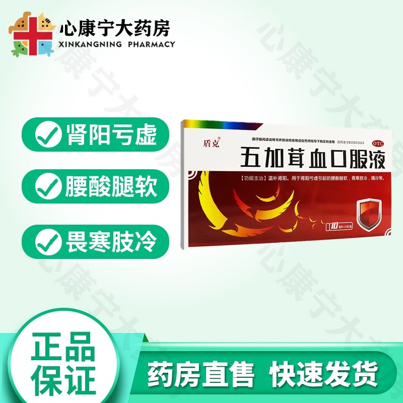 盾克 五加茸血口服液 10ml*14支 肾阳亏虚腰酸 1盒装