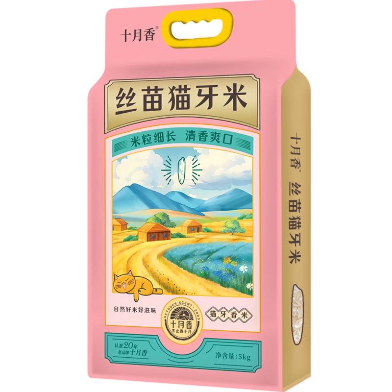 ���ڲ�����ʮ����2025��������˿��è���׳�����10���������10��װ�Ϸ�����˿���� 38.4Ԫ