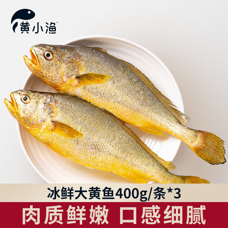 黄小渔冰鲜宁德黄花鱼 大黄鱼生鲜 鱼类新鲜水产海鲜海鱼源头直发 BAP认证冰鲜大黄鱼400g/条*3