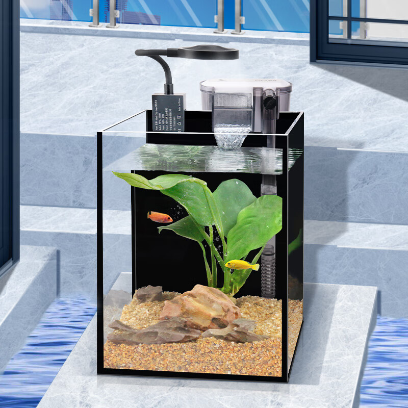 BESSN迷你超白缸鱼缸到底值不值得选择？深入揭秘为你解说