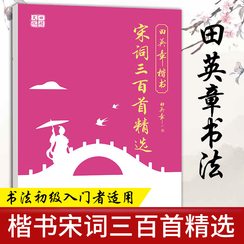现货 楷书行书钢笔字帖 现代汉语3500楷书7000常用字成人硬笔书法练字本楷行书法入门临摹硬笔公务员5500字田楷行书正楷字贴 精选 宋词三百首