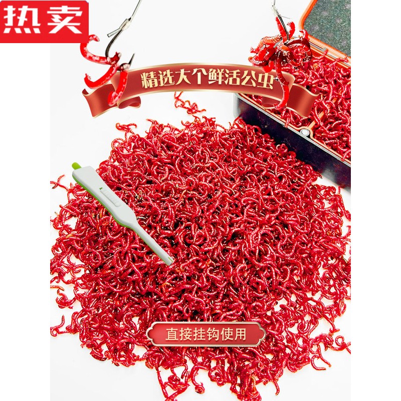 活体活饵喂鱼拉饵鲫鱼野钓饵料钓鱼蚯蚓鱼食 中通快递特大红虫30克