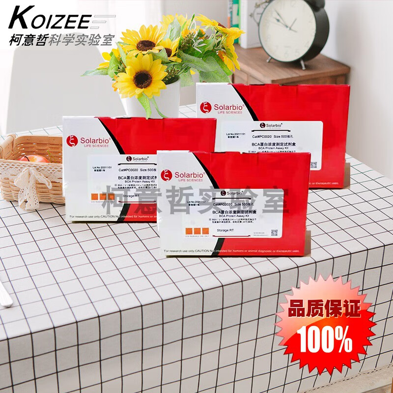 蛋白浓度测定试剂盒 bca蛋白含量测定 lowry法 bradford法 索莱宝 bca
