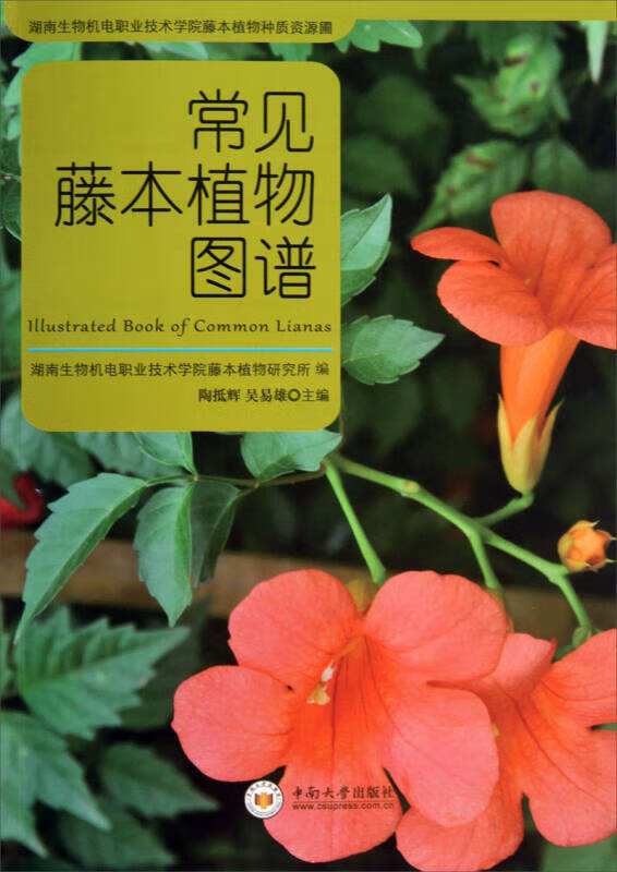 常见藤本植物图谱【正版好书,下单速发】