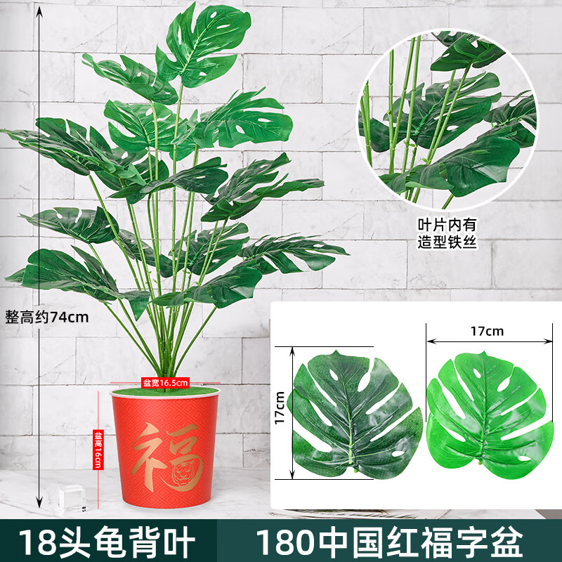 ˫��18ͷ����걳������������ֲ���ڼ�ֲ�ﻨ�ܹ걳Ҷ�츣��Դͷֱ��