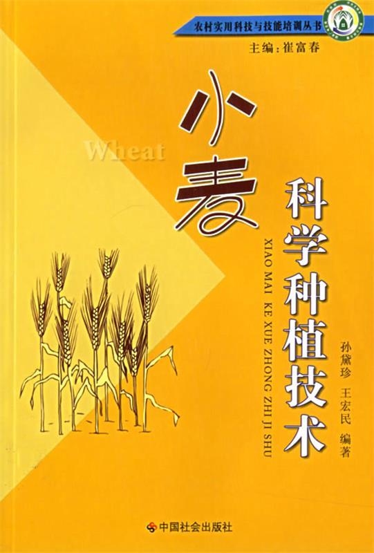 小麦科学种植技术怎么看?
