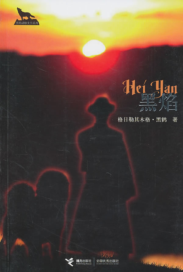 黑焰9787544816434【正版好书,下单速发】