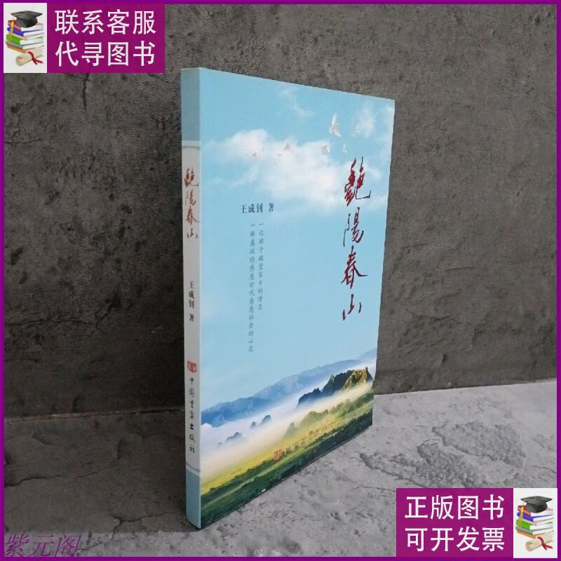 艳阳春山 中国言实出版社二手9成新