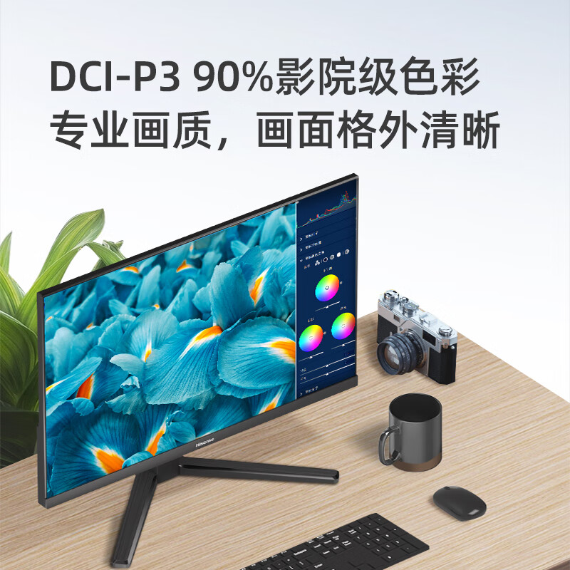 海信23.8英寸显示器  电脑办公商务显示屏 75Hz  物理防蓝光 HDMI接口 广色域 窄边框 三年质保24N3G 