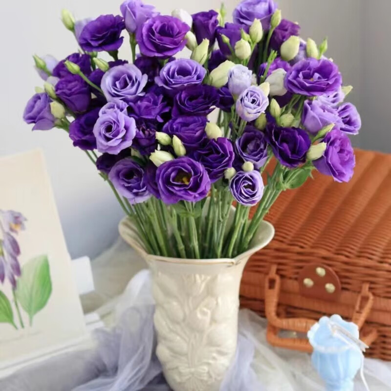 ɺɺ˳ƷA۹ʻͥƿϻֱ ɫ۹20-25 69.9Ԫ