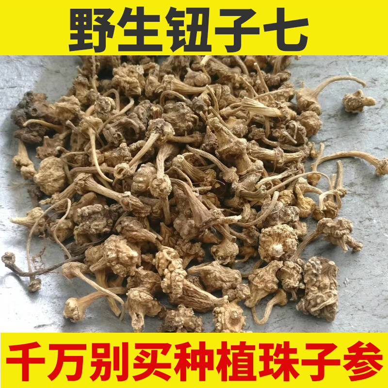 野生珠儿参七枝灵珠子参中药材扣子七钮纽子七张志至顺疙瘩七250g