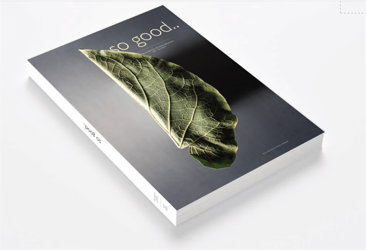 老师推荐% So Good #29 20