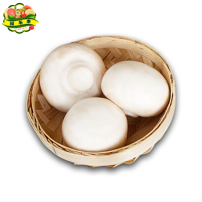 京府香园鲜乐季白蘑菇新鲜白蘑菇 双孢菇 新鲜口蘑 500g
