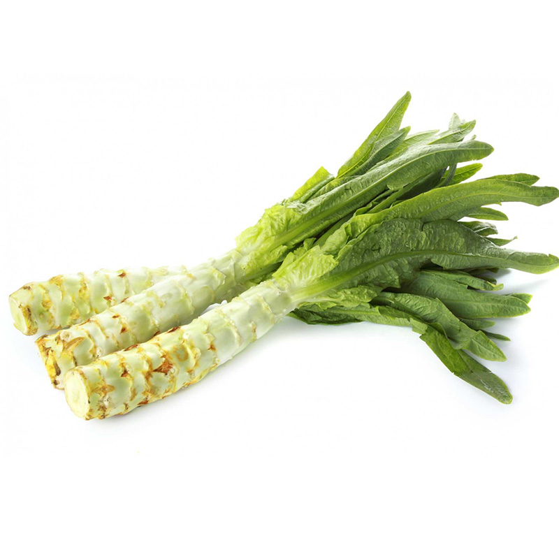 四季种子 农田菜园种植高产青肉嫩脆清香红绿蔬菜籽 韩育四季莴笋2000